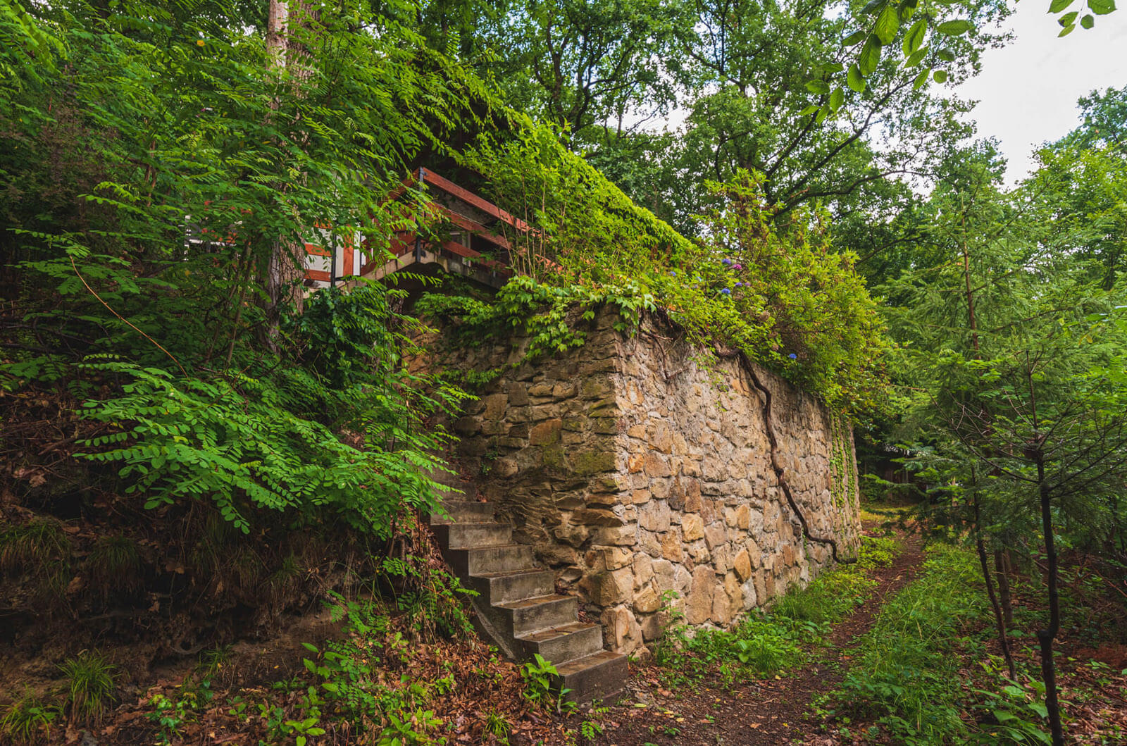 galeria01-domek-w-lesie-nad-jeziorem_6535