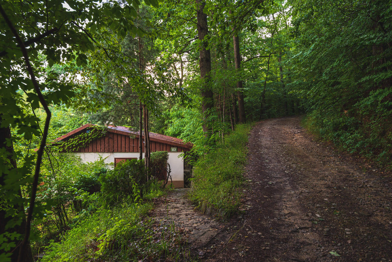 galeria05-domek-w-lesie-nad-jeziorem_6554